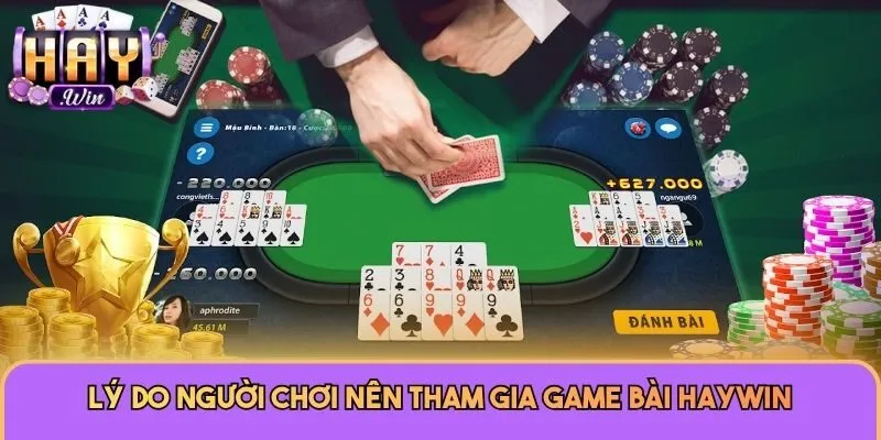 Game Bài 3 Lý do người chơi nên tham gia game bài Haywin